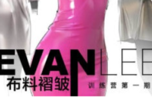Evanlee布料褶皱训练营第1期2025【1235】-procreatechahua