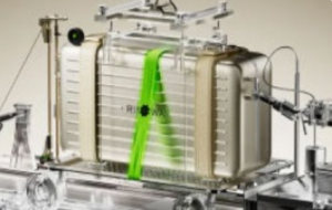 不二何C4D风格化产品渲染2024【1255】-procreatechahua